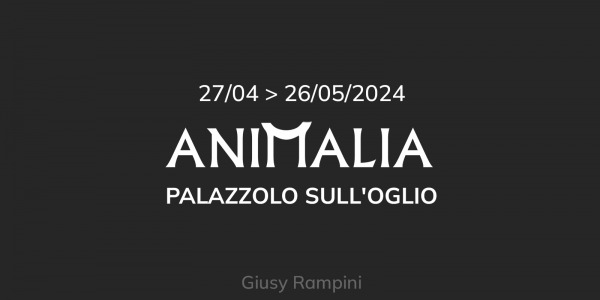 Animalia - da 27/04 a 26/05/2024 - Palazzolo s/O
